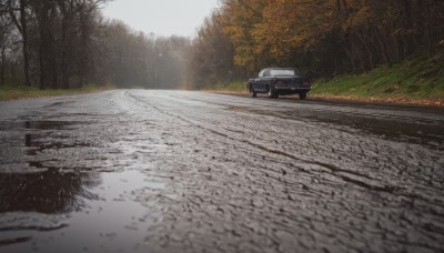 outdoors,day,tree,no humans,grass,ground vehicle,nature,scenery,motor vehicle,forest,realistic,car,road,vehicle focus,photo background,sky,sports car