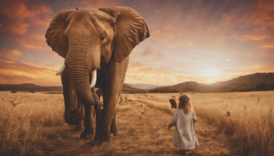 1girl,long hair,brown hair,holding,standing,ponytail,outdoors,multiple boys,sky,cloud,from behind,animal,grass,child,scenery,carrying,sunset,monster,mountain,facing away,field,1boy,dress,white dress,cloudy sky,holding animal,orange sky