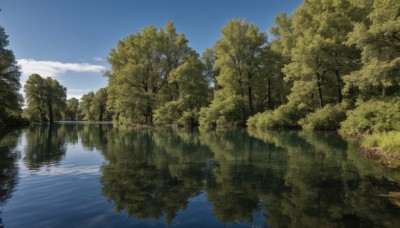 outdoors,sky,day,cloud,water,tree,blue sky,no humans,nature,scenery,forest,reflection,river,landscape,lake,reflective water