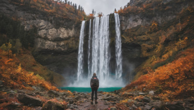 solo, 1boy, standing, male focus, outdoors, water, from behind, tree, nature, scenery, waterfall