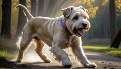 HQ,solo,open mouth,blue eyes,full body,outdoors,day,tongue,tongue out,blurry,collar,from side,tree,no humans,depth of field,blurry background,animal,fangs,sunlight,grass,nature,dog,realistic,leash,animal focus,animal collar,looking at viewer,standing,signature,black eyes,forest