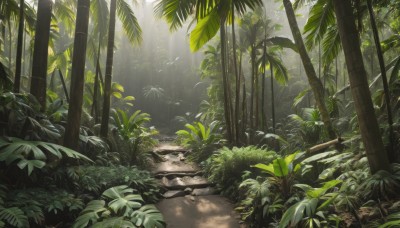 outdoors,day,tree,no humans,bird,leaf,sunlight,plant,nature,scenery,forest,light rays,rock,sunbeam,bamboo,dappled sunlight,bamboo forest,water,grass,bush