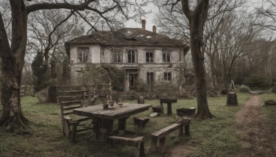 1girl,1boy,sitting,outdoors,sky,day,tree,cup,window,bird,chair,table,grass,building,nature,scenery,forest,fence,house,bare tree,water,no humans,plant,fantasy,path,tree stump