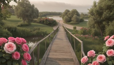 flower,outdoors,day,tree,no humans,rose,grass,plant,red flower,nature,scenery,pink flower,red rose,stairs,railing,bush,pink rose,sky,cloud,cloudy sky,forest,fence,road,field,landscape,path,garden