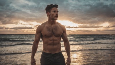 solo,short hair,blue eyes,brown hair,black hair,1boy,navel,closed mouth,nipples,male focus,outdoors,sky,cloud,water,looking to the side,muscular,facial hair,ocean,beach,abs,cloudy sky,pectorals,muscular male,bara,beard,large pectorals,topless male,sunset,realistic,sand,horizon,manly,chest hair,male swimwear,navel hair,swim trunks,arm hair,pants,dark skin,black pants