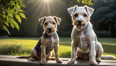 HQ,open mouth,outdoors,day,tongue,tongue out,blurry,black eyes,collar,no humans,animal,sunlight,grass,dog,realistic,animal focus,shiba inu,looking at viewer,sitting,standing,full body,signature,tree,leaf,animal collar