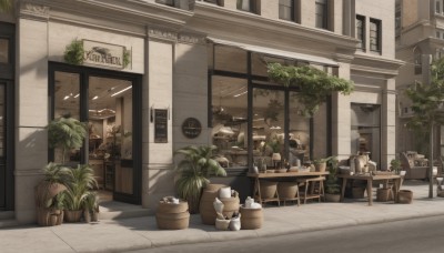 outdoors,day,indoors,tree,cup,no humans,window,shadow,chair,table,bottle,plant,building,scenery,sign,door,potted plant,teapot,shelf,shop,flower pot,cafe,artist name,english text,bird,sunlight