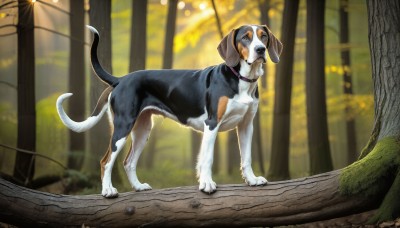 HQ,solo,standing,full body,outdoors,signature,blurry,collar,tree,pokemon (creature),no humans,blurry background,animal,watermark,nature,web address,forest,dog,realistic,leash,animal focus,open mouth,day,tongue,tongue out,leaf,sunlight,branch,animal collar