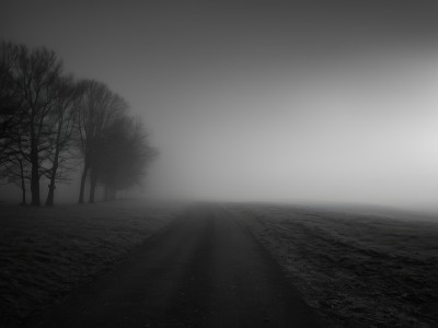 monochrome,comic,greyscale,outdoors,sky,cloud,water,tree,no humans,ocean,cloudy sky,grass,nature,scenery,horizon,dark,bare tree