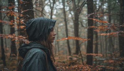 1girl, solo, long hair, blonde hair, upper body, outdoors, hood, blurry, from side, tree, lips, profile, depth of field, blurry background, leaf, nature, forest, realistic, nose