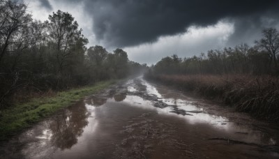 outdoors,sky,day,cloud,signature,water,tree,no humans,cloudy sky,grass,nature,scenery,forest,reflection,road,river,landscape,puddle,fog,grey sky,reflective water,lake