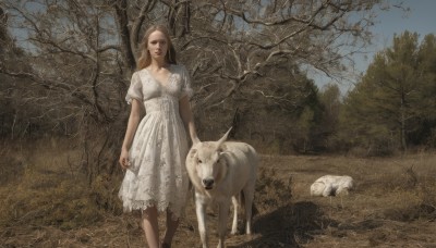 1girl,solo,long hair,looking at viewer,blonde hair,brown hair,dress,standing,short sleeves,outdoors,day,pointy ears,white dress,tree,lips,animal,grass,nature,forest,dog,realistic,bare tree,wolf,holding,brown eyes,horns,sky,scenery,field,sheep,deer,goat