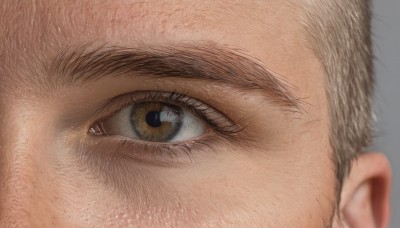 solo,looking at viewer,1boy,brown eyes,male focus,grey background,blurry,eyelashes,portrait,close-up,realistic,eye focus,simple background,depth of field,facial hair