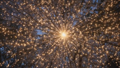 outdoors,sky,day,cloud,tree,blue sky,dutch angle,no humans,night,glowing,sunlight,star (sky),nature,scenery,light particles,fantasy,light,fireworks,night sky,starry sky