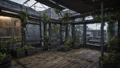 outdoors,sky,day,cloud,indoors,tree,no humans,window,chair,plant,building,scenery,wooden floor,potted plant,ruins,vines,moss,overgrown,post-apocalypse,broken window,cityscape