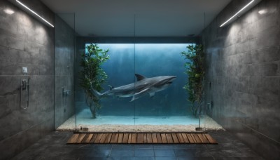 indoors,water,tree,no humans,window,plant,scenery,fish,underwater,door,tiles,wall,locker,ceiling,hallway,shark,whale,ceiling light,tile floor