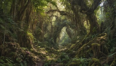 outdoors,day,tree,no humans,leaf,sunlight,grass,plant,nature,scenery,forest,light rays,rock,green theme,moss,fantasy,vines,mushroom,landscape