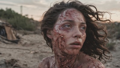 1girl,solo,long hair,blue eyes,brown hair,black hair,nude,outdoors,parted lips,teeth,day,blurry,lips,looking to the side,blood,floating hair,depth of field,blurry background,looking away,wind,building,messy hair,portrait,injury,blood on face,realistic,power lines,dirty,dirty face,short hair,brown eyes,sky,grey eyes,veins,damaged