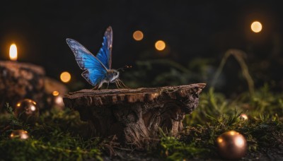 1girl,solo,sitting,outdoors,wings,blurry,tree,no humans,night,depth of field,glowing,moon,grass,bug,butterfly,nature,night sky,scenery,1other,fairy,wide shot,butterfly wings,tree stump,blurry background,plant,forest,fantasy,dark,moss