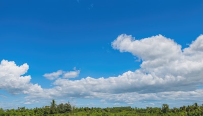 outdoors,sky,day,cloud,tree,blue sky,no humans,cloudy sky,grass,nature,scenery,forest,summer,landscape