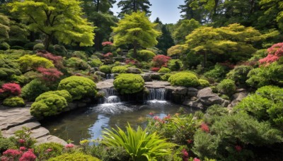 flower,outdoors,sky,day,water,tree,blue sky,no humans,grass,plant,nature,scenery,forest,rock,bush,river,waterfall,moss,pond,stream,cloud,landscape