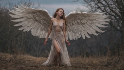 1girl,solo,long hair,breasts,brown hair,dress,navel,bare shoulders,medium breasts,standing,collarbone,outdoors,wings,barefoot,white dress,blurry,tree,lips,see-through,blurry background,nature,feathered wings,walking,angel wings,realistic,white wings,arms at sides,angel,bare tree,brown eyes,jewelry,parted lips,bracelet,grass,forest