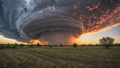 outdoors,sky,cloud,tree,no humans,cloudy sky,grass,fire,nature,scenery,forest,sunset,monster,orange sky,animal,field,oversized animal