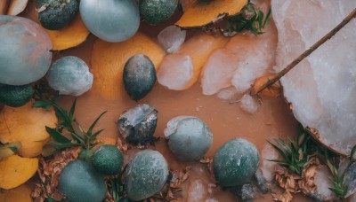 food,no humans,fruit,leaf,from above,scenery,realistic,food focus,still life,plant,ice,rock