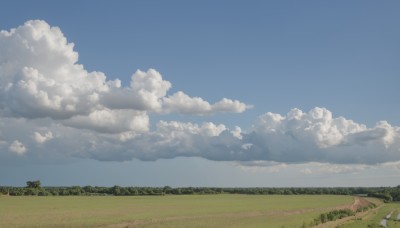 outdoors,sky,day,cloud,tree,blue sky,no humans,bird,cloudy sky,grass,nature,scenery,forest,road,field,landscape,hill,ground vehicle,motor vehicle,horizon