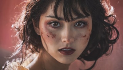 1girl,solo,looking at viewer,short hair,open mouth,bangs,brown hair,black hair,hair ornament,brown eyes,jewelry,flower,earrings,parted lips,teeth,hair flower,medium hair,blurry,lips,eyelashes,blood,makeup,lipstick,portrait,red background,blood on face,realistic,nose,red lips,messy hair,close-up,freckles,dirty