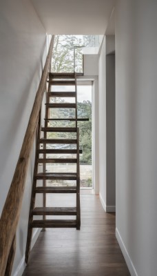 day,indoors,tree,no humans,window,chair,curtains,scenery,reflection,wooden floor,painting (object),reflective floor,plant,railing,wall,ceiling