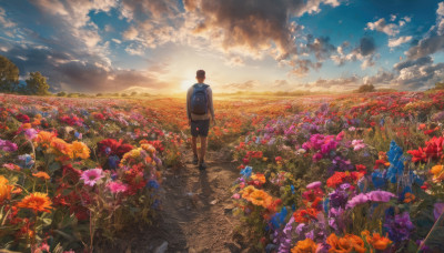 solo, short hair, brown hair, shirt, 1boy, standing, flower, male focus, outdoors, sky, shorts, cloud, bag, from behind, tree, dutch angle, backpack, cloudy sky, scenery, walking, blue flower, sunset, road, field, wide shot, flower field, path