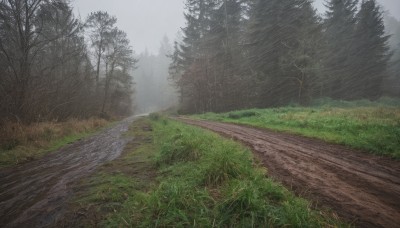 outdoors,sky,day,cloud,tree,no humans,cloudy sky,grass,nature,scenery,forest,road,bush,river,landscape,fog,path,field,grey sky