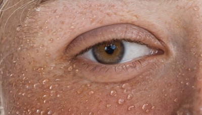 1girl,solo,looking at viewer,1boy,brown eyes,yellow eyes,water,wet,eyelashes,animal,cat,close-up,1other,reflection,water drop,realistic,black cat,eye focus,male focus