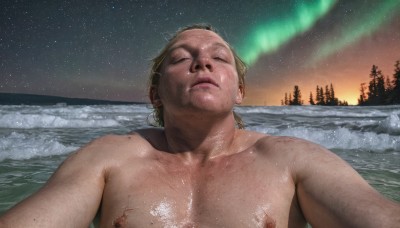 solo,blonde hair,1boy,nipples,collarbone,closed eyes,upper body,male focus,nude,outdoors,parted lips,sky,water,tree,lips,wet,night,beach,pectorals,star (sky),nature,night sky,facing viewer,snow,forest,starry sky,freckles,topless male,realistic,palm tree,aurora,short hair,closed mouth,muscular,muscular male,injury,dirty,chest hair,milky way