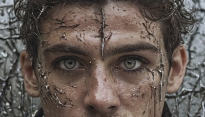 solo,looking at viewer,short hair,brown hair,black hair,1boy,brown eyes,male focus,outdoors,blurry,blurry background,portrait,close-up,reflection,realistic,grey eyes,thick eyebrows,branch,bare tree