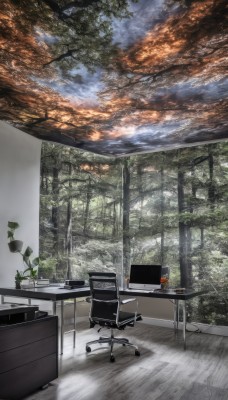 outdoors,sky,day,cloud,indoors,tree,cup,no humans,window,leaf,chair,table,sunlight,plant,nature,scenery,desk,forest,wooden floor,potted plant,lamp,computer,monitor,office chair,keyboard (computer),mouse (computer),office