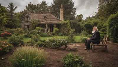 solo,long sleeves,1boy,sitting,flower,male focus,outdoors,sky,day,cloud,tree,chair,cloudy sky,grass,plant,building,nature,scenery,forest,robe,bench,bush,architecture,house,old,old man,path,old woman,white hair,japanese clothes,facial hair,black pants,own hands together,beard,rock,shrine,fog,grey sky