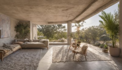 day,indoors,tree,cup,pillow,no humans,window,shadow,chair,table,sunlight,plant,scenery,couch,wooden floor,potted plant,carpet,flower pot,rug,sky,cloud,painting (object)