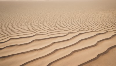 outdoors,water,no humans,ocean,beach,scenery,sand,horizon,waves,shore,desert,solo,close-up,sepia,muted color,brown theme,still life