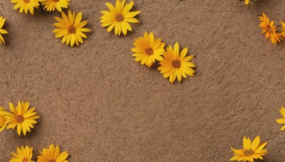 flower,outdoors,no humans,shadow,from above,scenery,yellow flower,sunflower,field,still life,comic,lying,brown theme