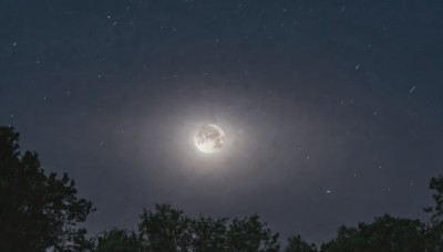 monochrome,outdoors,sky,tree,no humans,night,moon,star (sky),nature,night sky,scenery,full moon,forest,starry sky,star (symbol),moonlight