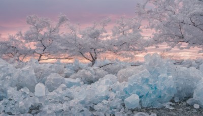 flower,outdoors,sky,cloud,tree,no humans,cloudy sky,nature,scenery,snow,mountain,branch,winter,bare tree,landscape,gradient sky,purple sky,1girl,solo,sunset