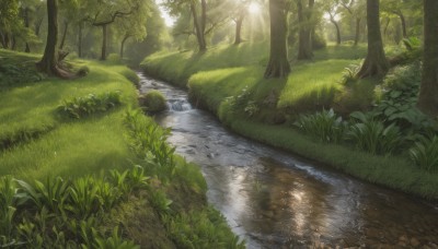 flower,outdoors,day,water,tree,no humans,sunlight,grass,plant,nature,scenery,forest,reflection,light rays,rock,road,bush,river,path,pond,stream,artist name,signature,puddle,reflective water