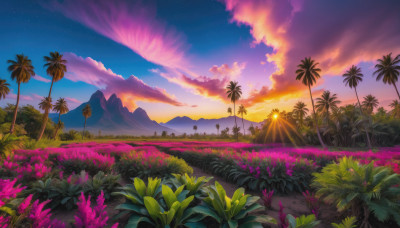 flower, outdoors, sky, cloud, tree, no humans, grass, plant, star (sky), nature, scenery, starry sky, sunset, mountain, palm tree, field