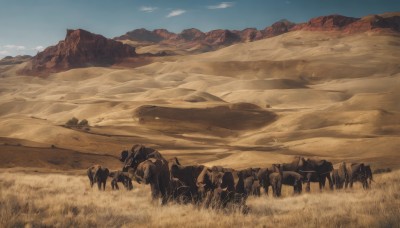 outdoors,sky,day,cloud,blue sky,no humans,animal,grass,scenery,mountain,sand,riding,field,horse,landscape,desert,monochrome,dog,rock,sepia