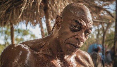 solo,looking at viewer,1boy,brown eyes,closed mouth,upper body,male focus,outdoors,multiple boys,solo focus,day,dark skin,blurry,tree,lips,muscular,depth of field,blurry background,dark-skinned male,portrait,realistic,bald,manly,collarbone,nude,shiny,shiny skin,topless male