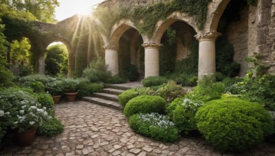 flower,outdoors,day,tree,no humans,sunlight,grass,plant,white flower,scenery,light rays,stairs,potted plant,road,bush,sunbeam,ruins,pillar,path,arch,column,pavement,sky,nature,garden