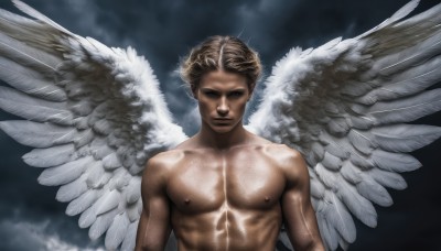 solo,looking at viewer,short hair,blonde hair,brown hair,1boy,closed mouth,nipples,upper body,male focus,nude,wings,muscular,abs,pectorals,feathered wings,topless male,angel wings,realistic,white wings,angel,multiple wings,muscular male,bara,large pectorals