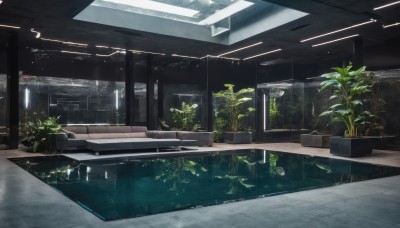 indoors,water,tree,no humans,window,sunlight,plant,scenery,reflection,fish,potted plant,ceiling light,building,tiles,pool,tile floor